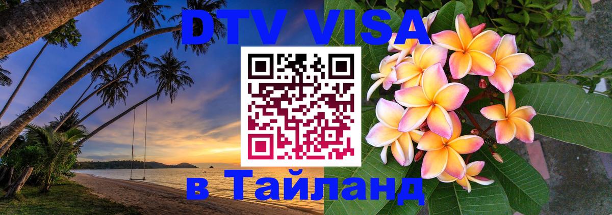 Оформление DTV визы под ключ: стоимость и тарифы, только загранпаспорт - 20.11.2025 